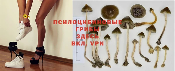 тгк Красноперекопск