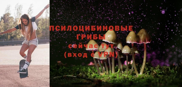 эйфоретик Абинск